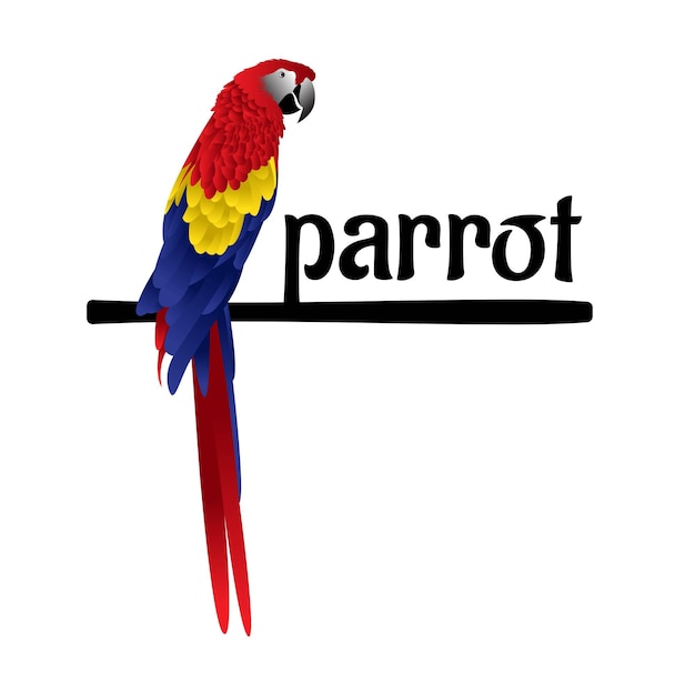 Beautiful colorful parrot bird vector illustration