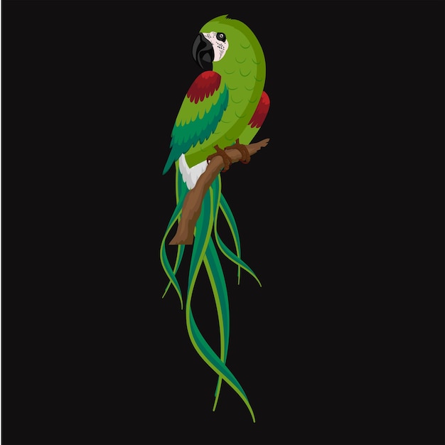 Vector beautiful and colorful parrot design