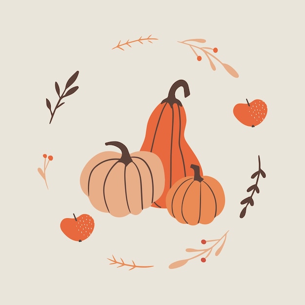 Vector beautiful colorful pumpkins card for thanksgiving seasonal vector background design