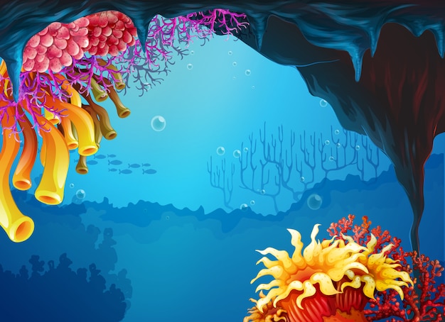 Vector beautiful coral reefs