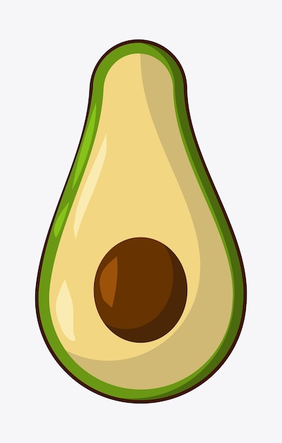 Beautiful cut avocado fruit vector