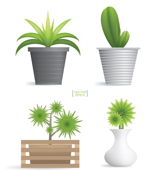 Vector beautiful decoration plants in flower pot