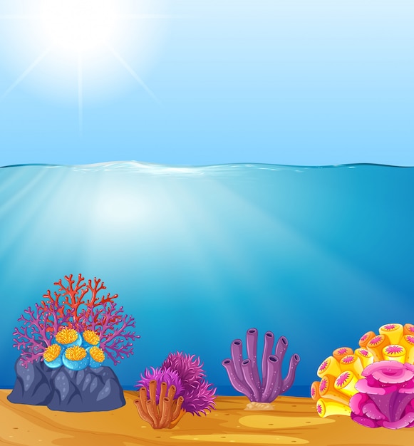 Premium Vector | Beautiful deep water template Premium Vector | Beautiful deep water template