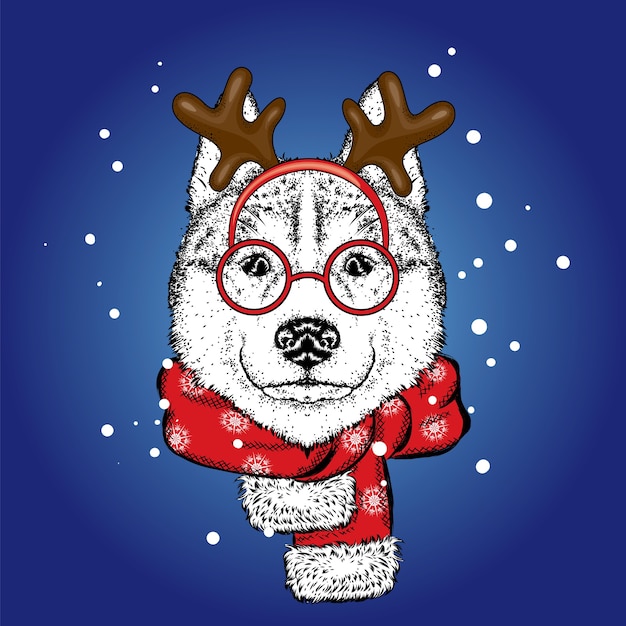 Vector beautiful dog dressed as a deer. new year, vector illustration.