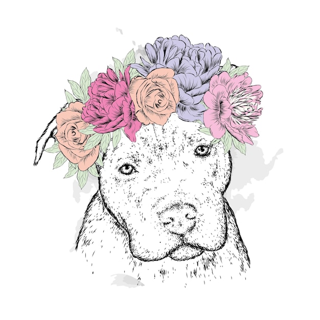 Beautiful dog in floral wreath hipster