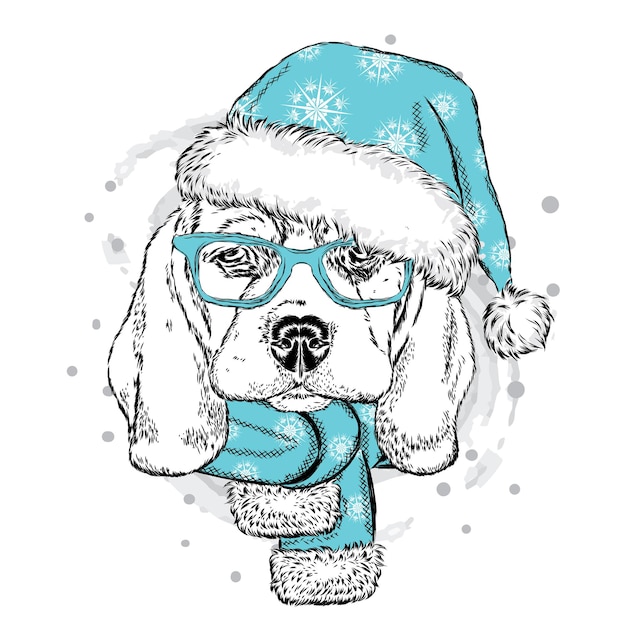 Красивая собака в шапке и шарфе Деда Мороза Новый год и Рождество