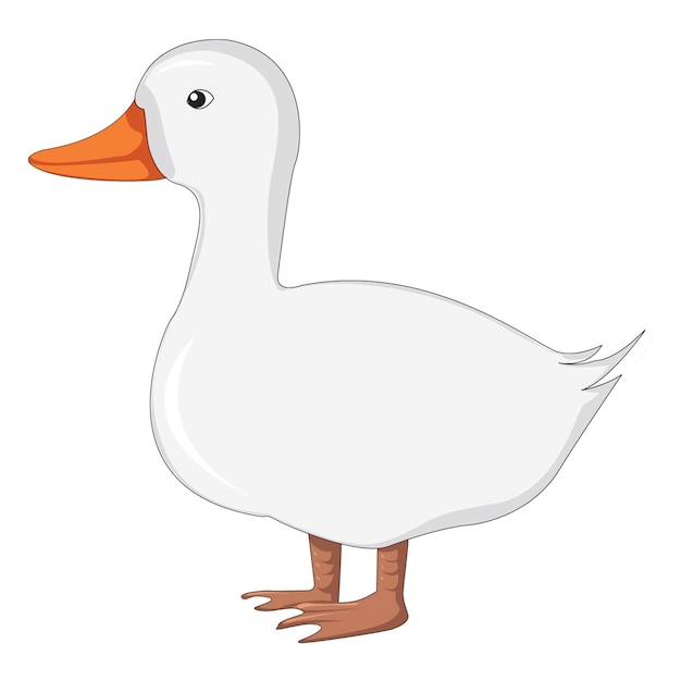 Vector beautiful duck vector illustration