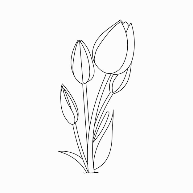 Вектор Красивые легкие цветы книжка-раскраска милые развивающие цветы раскраски страницы для детей