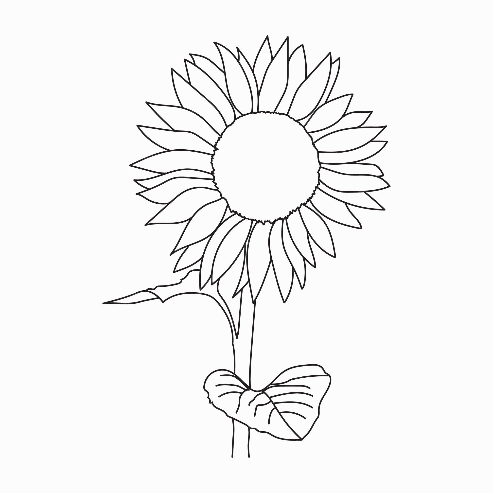Sunflower Coloring Images - Free Download on Freepik Sunflower Coloring Images - Free Download on Freepik