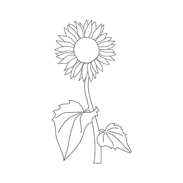 Beautiful Easy Flowers Coloring book Handgetekende zwart-witte bloemen