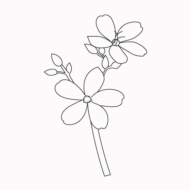 Beautiful Easy Flowers Coloring book Handgetekende zwart-witte bloemen