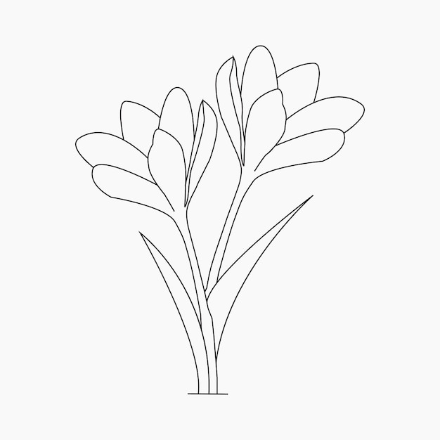 Beautiful Easy Flowers Coloring book For Preschool Children Cute Educational Flowers Coloring Page