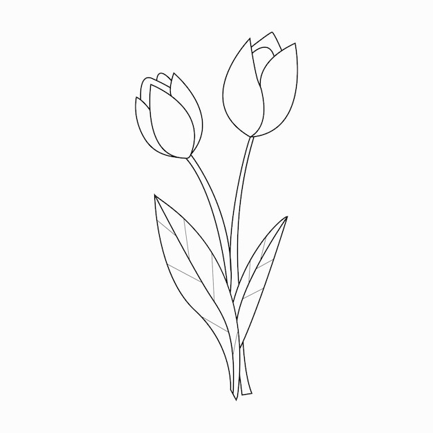 Beautiful Easy Flowers Coloring book For Preschool Children