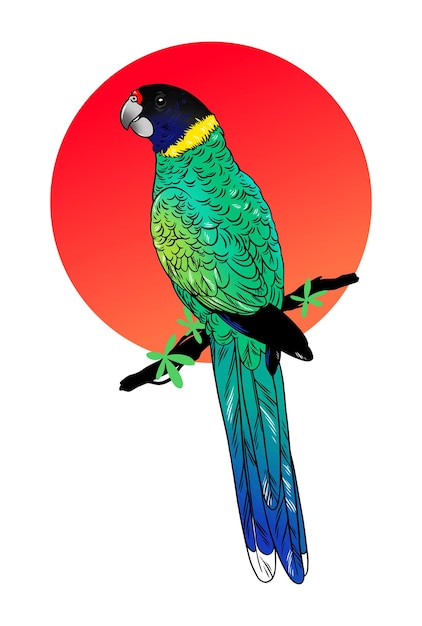 Beautiful exotic bird isolated on white background Vector illustration