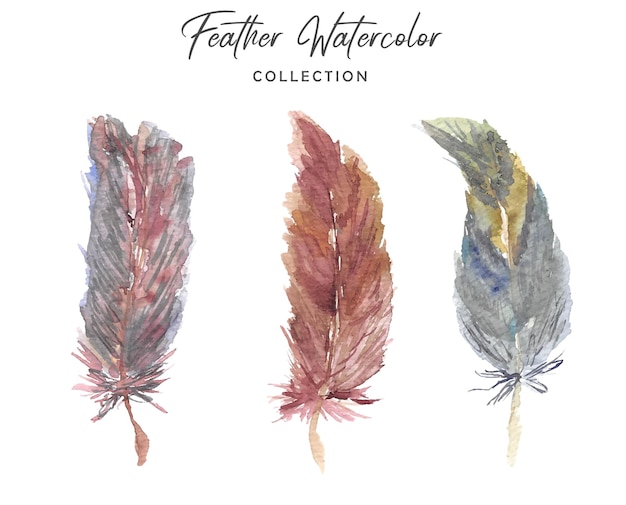 Vector beautiful feather boho watercolor collection