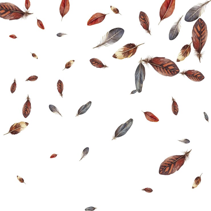 Vector beautiful feathers in various shades of red brown and blue scattered on a white background perfect for nature themed designs boho decor and artistic projects
