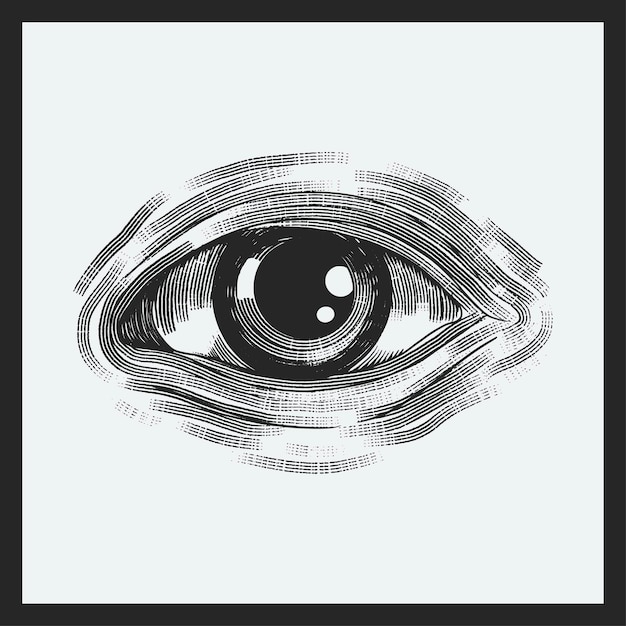 beautiful female eye sketch vector