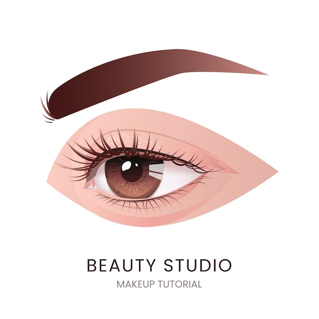 Vector beautiful female eye with long black eyelashes and brows. vector illustration. realistic brown eye