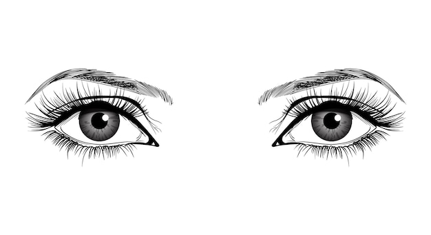 Beautiful female eyes with big lashes and eyebrows Vector illustration