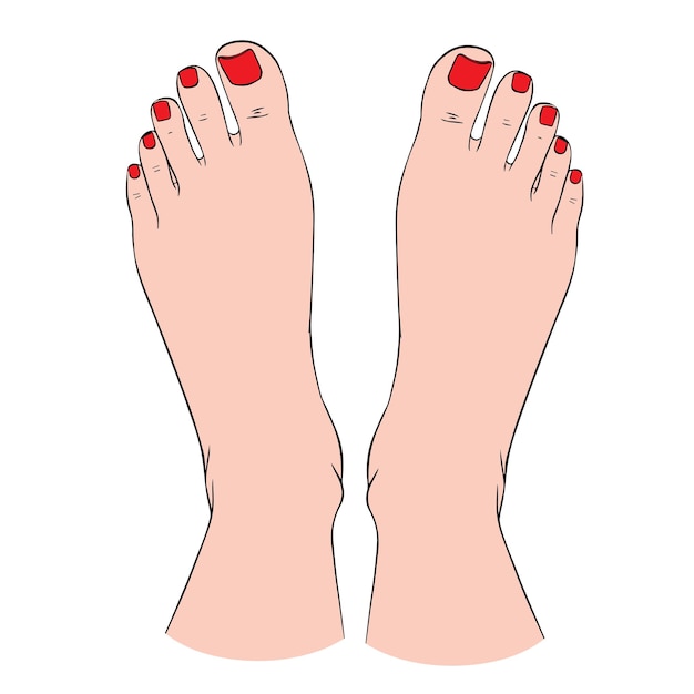 Beautiful female feet barefoot illustration. A design element for spa, manicure or cosmetics. Vector illustration of a contour.