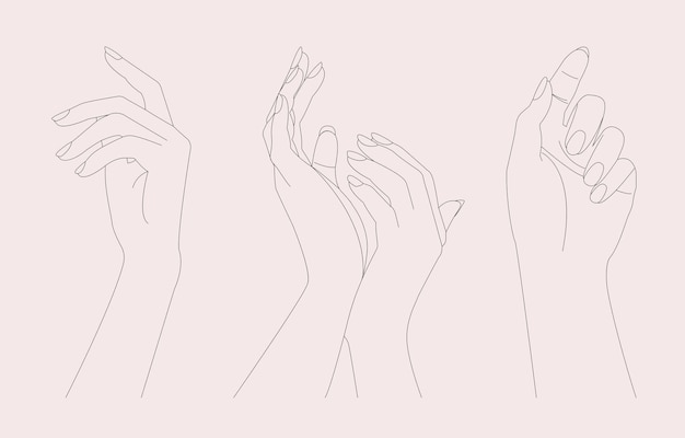 beautiful female hands in different poses line art vector illustration set