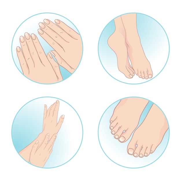 Belle mani e piedi femminili manicure e pedicure illustrazione vettoriale del design del set per la cura del corpo