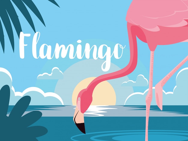 Красивый фламинго птица стоять в ландшафте