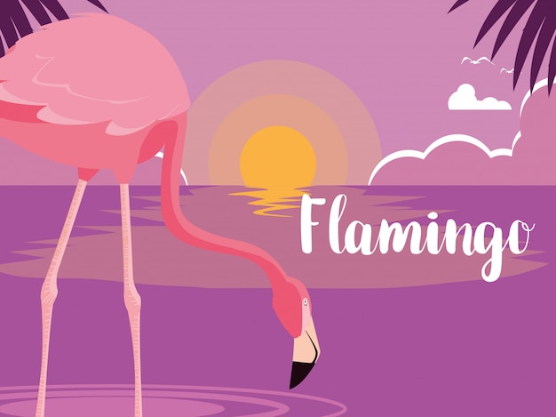Красивый фламинго птица стоять в ландшафте