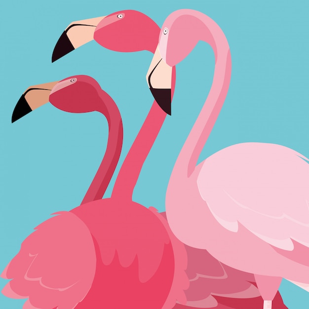 Vector beautiful flamingos birds flock standing