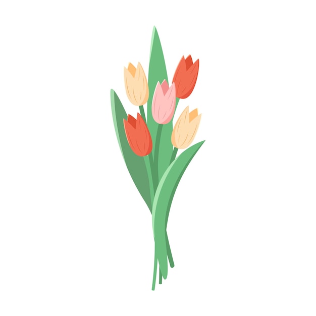 Vector beautiful flat icon of bouquet tulips or flowers isolated on white background