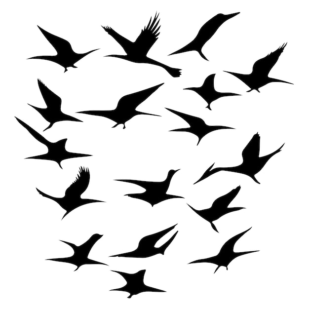 Vector a beautiful flock of flying birds silhouette vector artwork