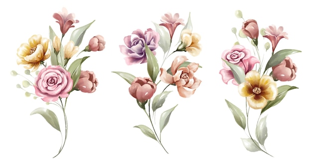 Vector beautiful floral bouquet of colorful flowers watercolor set