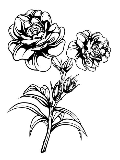 Vector beautiful floral design for vector wedding ornament