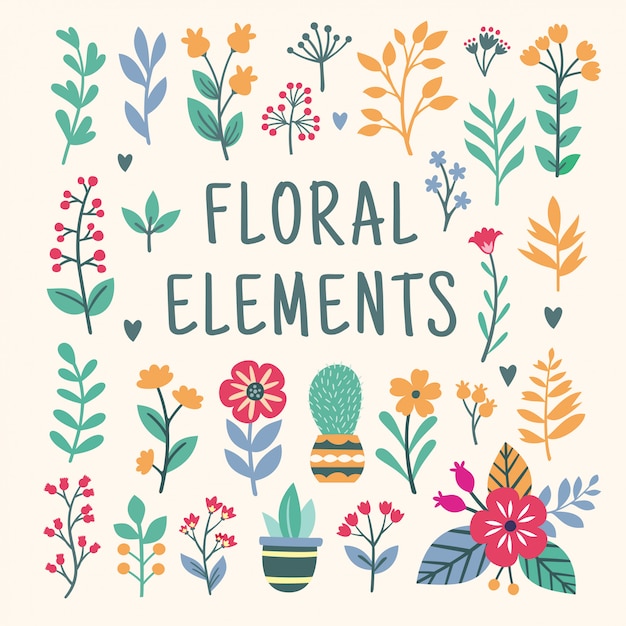 Vector beautiful floral elements set