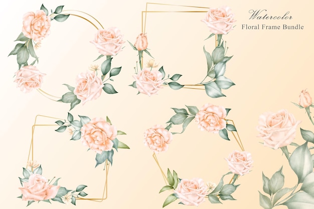 Vector beautiful floral frame collection