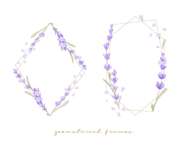 Vector beautiful floral frame with lavender flower watercolor