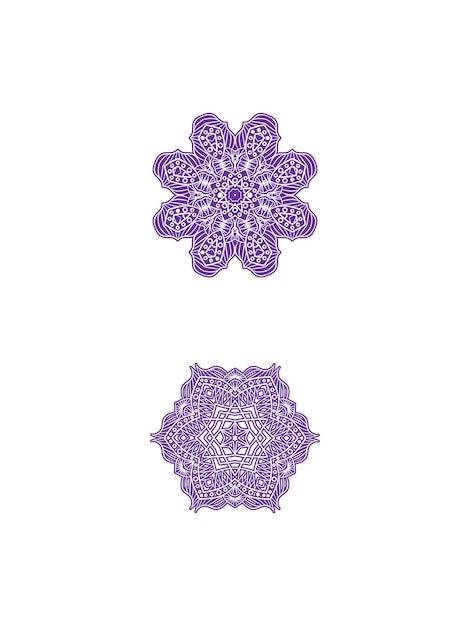 Beautiful floral mandala pattern on white background