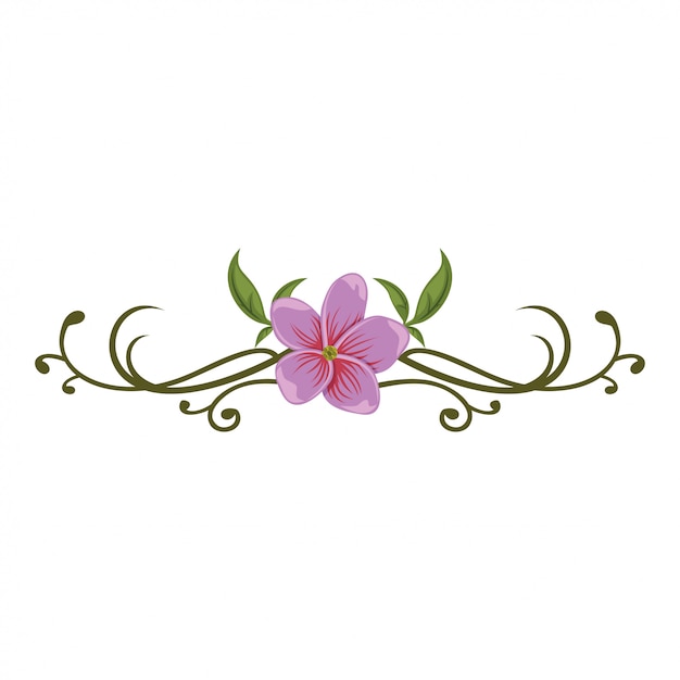 Vector beautiful floral and ornaments design