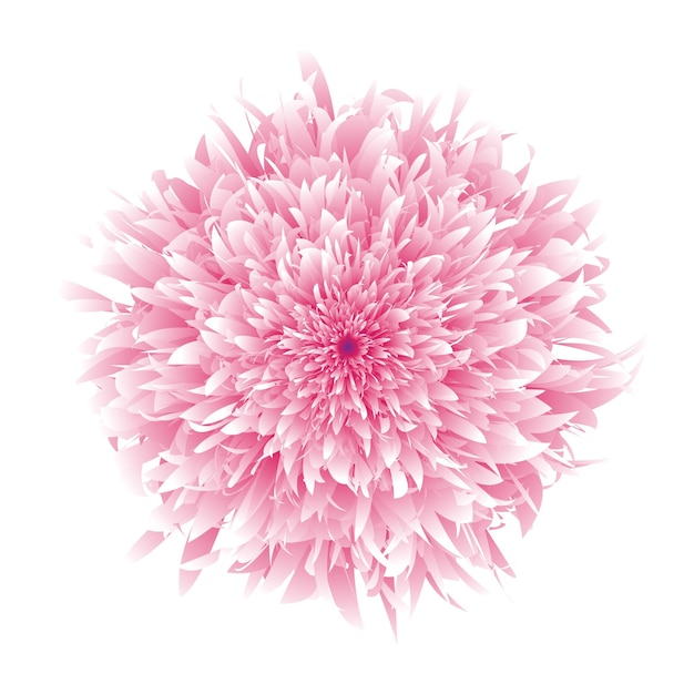 美しい花のプレミアムベクトルイラスト