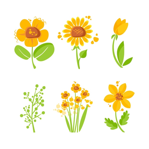 Vector beautiful flower collection flower compositions