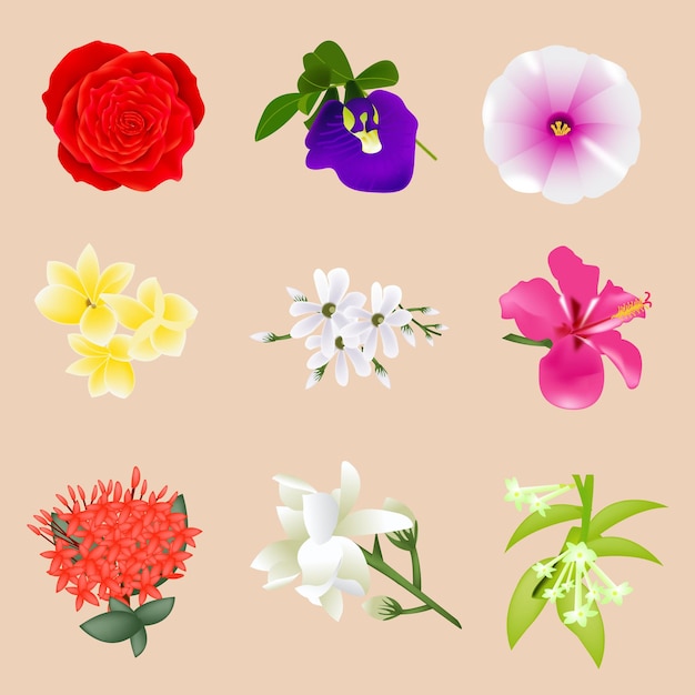 Vettore bella illustrazione della collezione di fiori