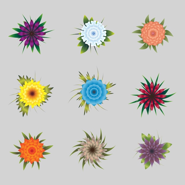 Vector beautiful flower collection