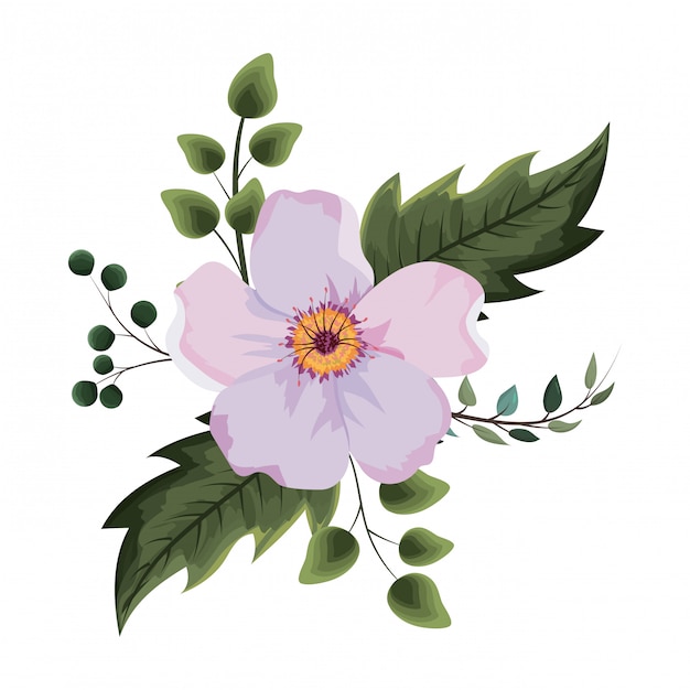 Vector beautiful flower drawing