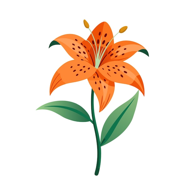 beautiful flower flat style vector illustration