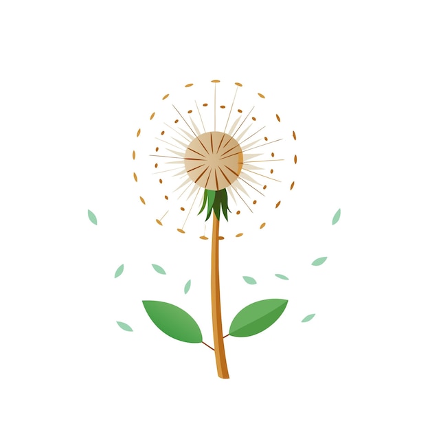 beautiful flower flat style vector illustration