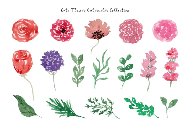 Vector beautiful flower and leaf watercolor collection