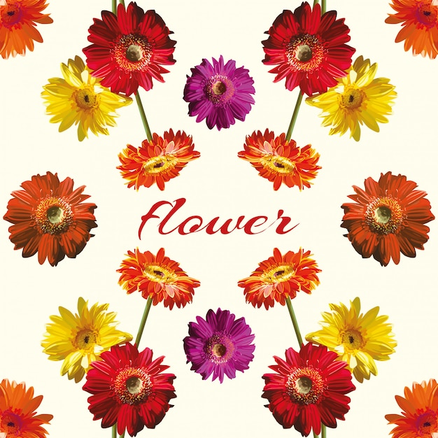 Vector beautiful flower light background