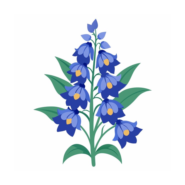 Vector beautiful flower minimalist floral vector illustration