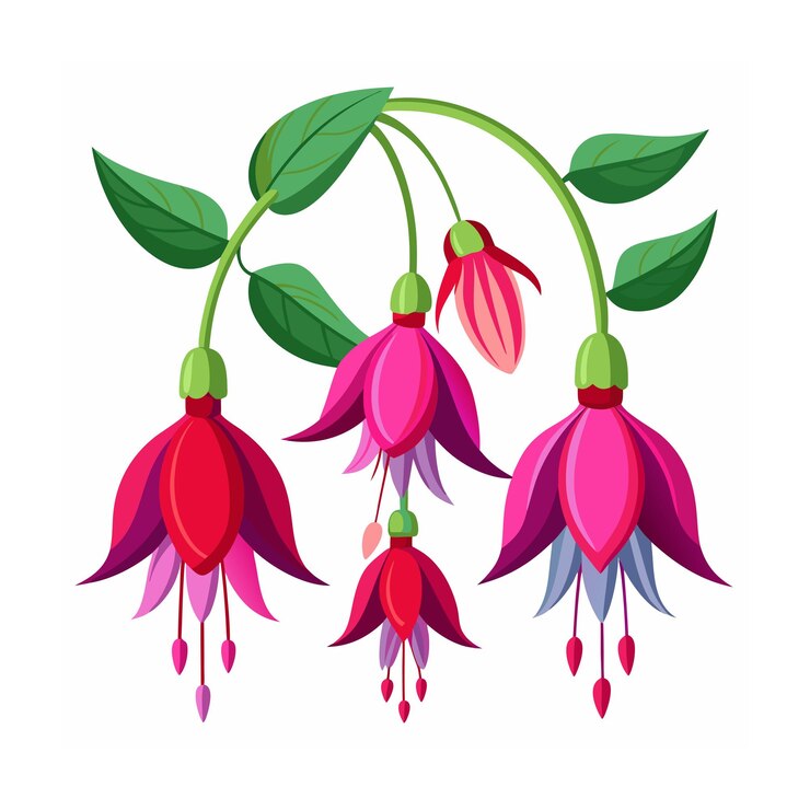 美しい花 ミニマリストの花のベクトルイラスト