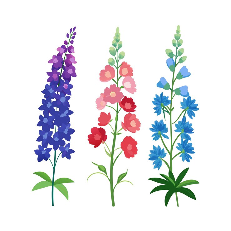 Vector beautiful flower minimalist floral vector illustration